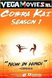  Cobra Kai – Netflix Original (2018) Season 1 Dual Audio {Hindi-English} 480p [100MB] | 720p [300MB] WEB-DL