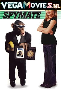  Spymate (2003) Dual Audio {Hindi-English} 480p [300MB] | 720p [750MB]