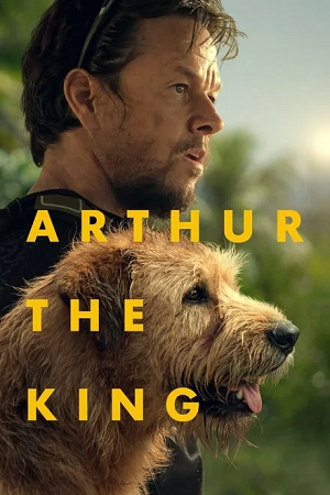  Arthur the King (2024) BluRay Dual Audio {Hindi-English} 480p [530MB] | 720p [1.2GB] | 1080p [2.9GB]