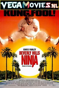  Beverly Hills Ninja (1997) Dual Audio {Hindi-English} 480p [300MB] | 720p [1GB]