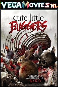  [18-] Cute Little Buggers (2017) Dual Audio {Hindi-English} 480p [350MB] | 720p [1GB]