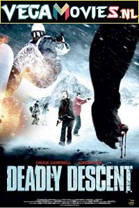  Deadly Descent (2013) Dual Audio {Hindi-English} 480p [300MB] | 720p [1GB]