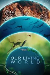  Our Living World (Season 1) Dual Audio {Hindi ORG. - English} 480p | 720p | 1080p