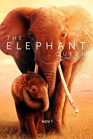  The Elephant Queen (2019) WEB-DL Dual Audio {Hindi-English} 480p [320MB] | 720p [900MB] | 1080p [2GB]