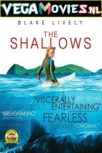  The Shallows (2016) Dual Audio {Hindi-English} 480p [350MB] | 720p [950MB] | 1080p [1.5GB]